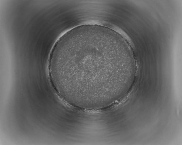 X0000111021020200907310927