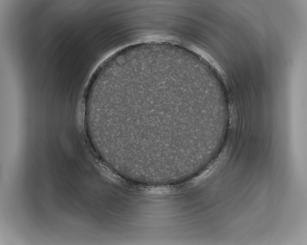 X0000111021021200907310927