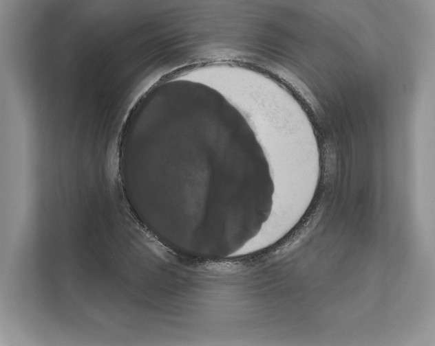 X0000111021023200907310927