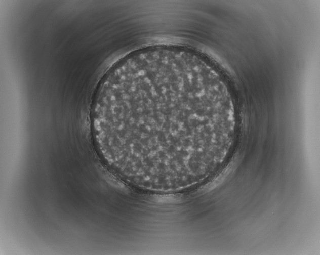 X0000111021025200907310927