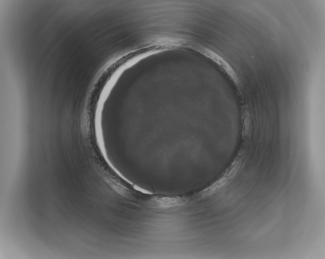 X0000111021027200907310927