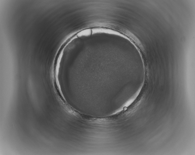 X0000111021028200907310927