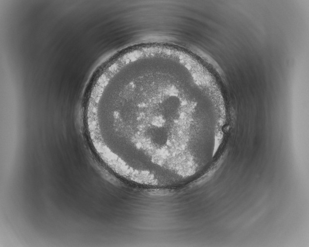 X0000111021029200907310927