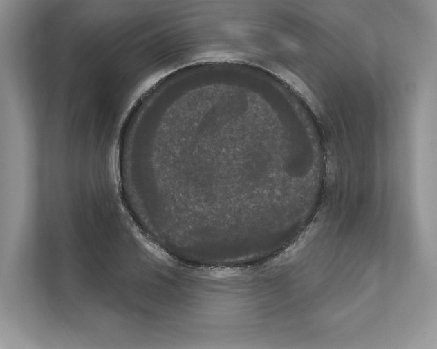 X0000111021030200907310927