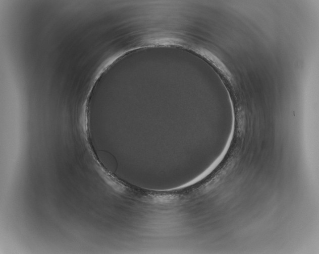 X0000111021031200907310927