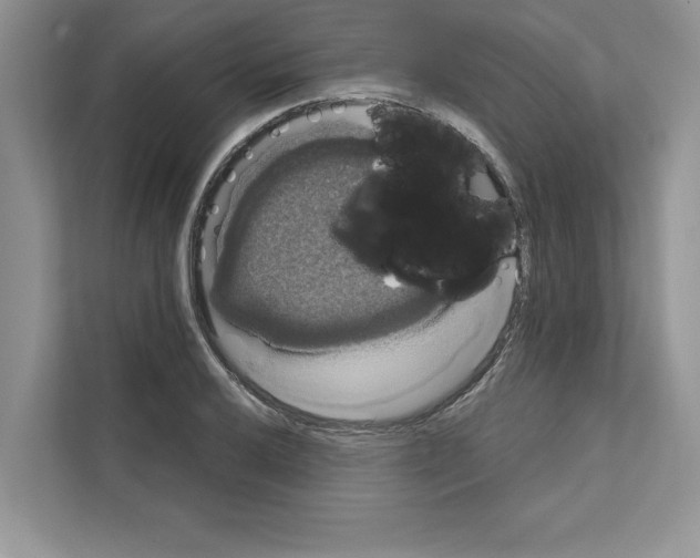 X0000111021032200907310927