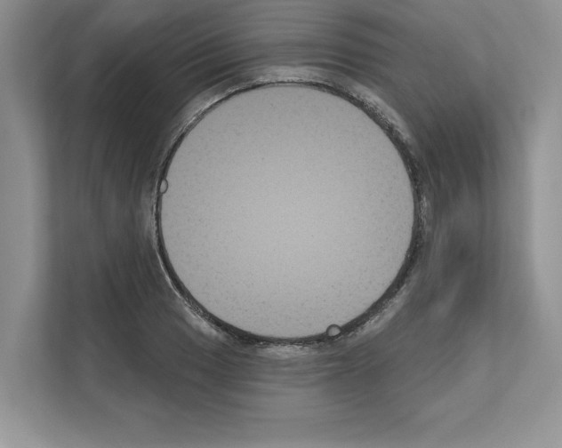 X0000111021033200907310927