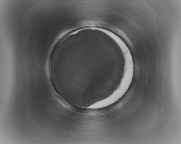 X0000111021035200907310927