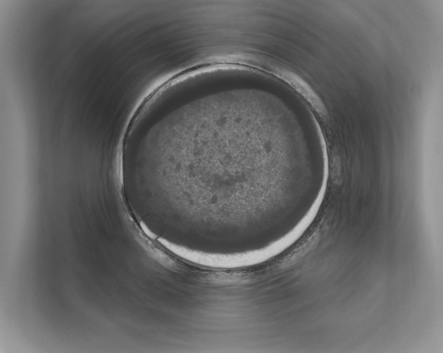 X0000111021036200907310927