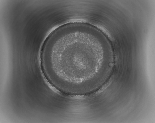 X0000111021038200907310927