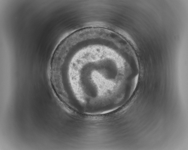 X0000111021040200907310927
