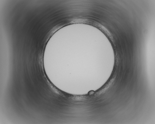 X0000111021041200907310927