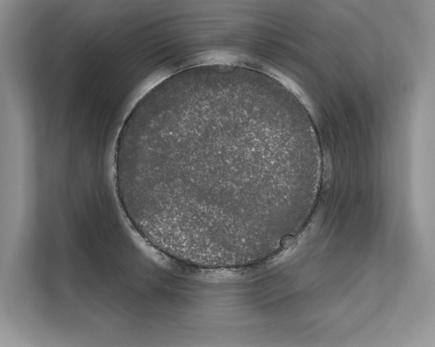 X0000111021042200907310927