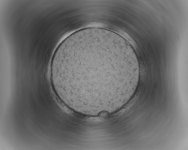 X0000111021044200907310927