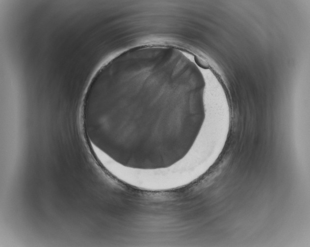 X0000111021045200907310927