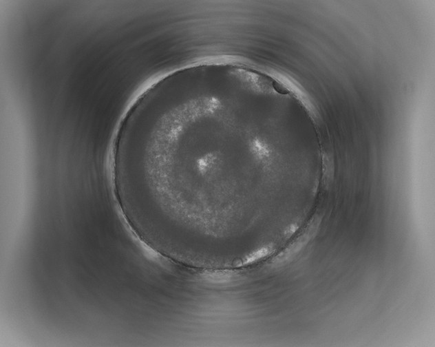 X0000111021046200907310927