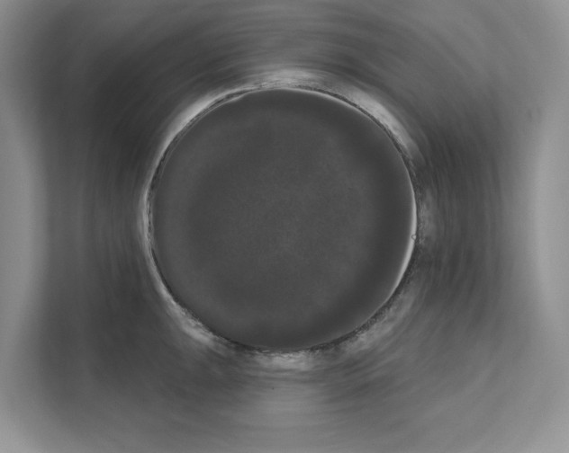 X0000111021047200907310928