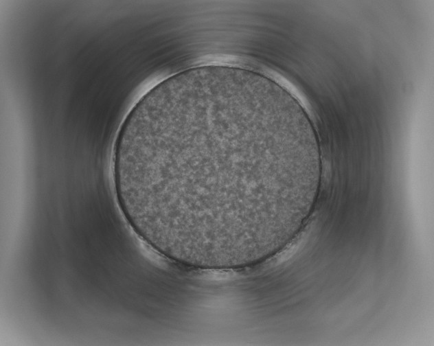 X0000111021050200907310928