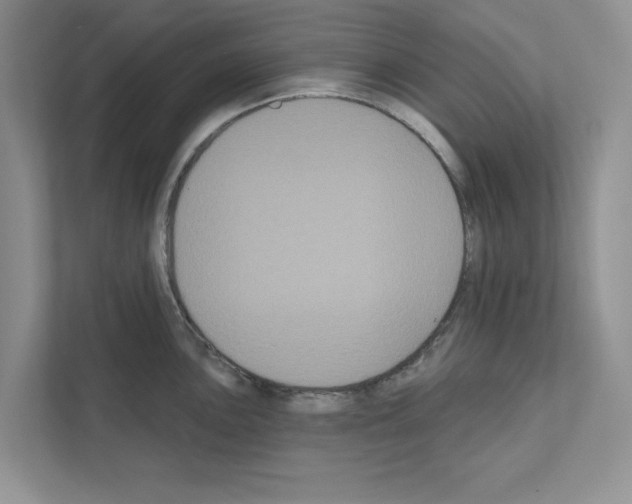 X0000111021051200907310928