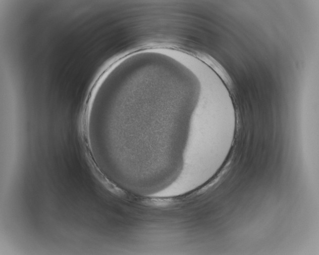 X0000111021052200907310928
