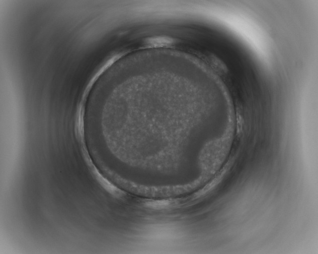 X0000111021054200907310928