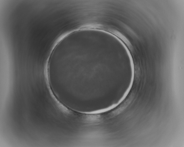 X0000111021055200907310928