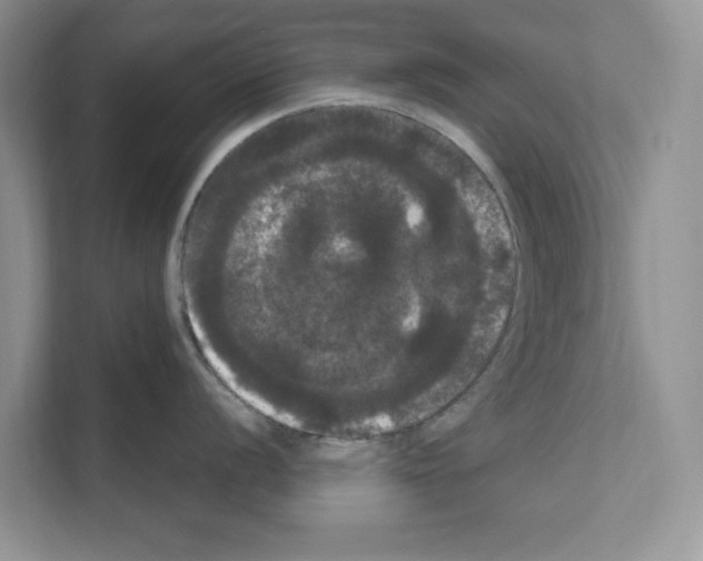 X0000111021056200907310928