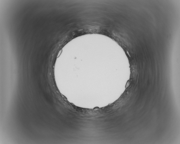X0000111021057200907310927