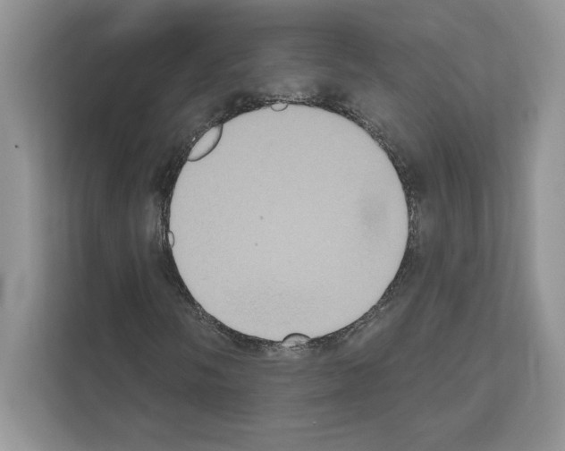 X0000111021058200907310927