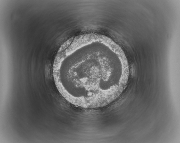 X0000111021059200907310927