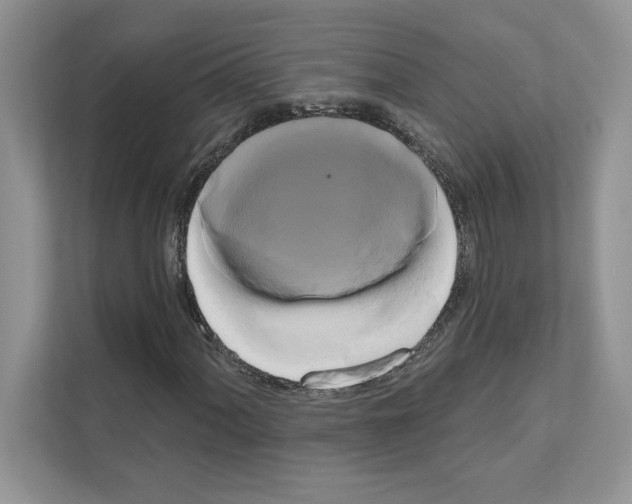 X0000111021060200907310927