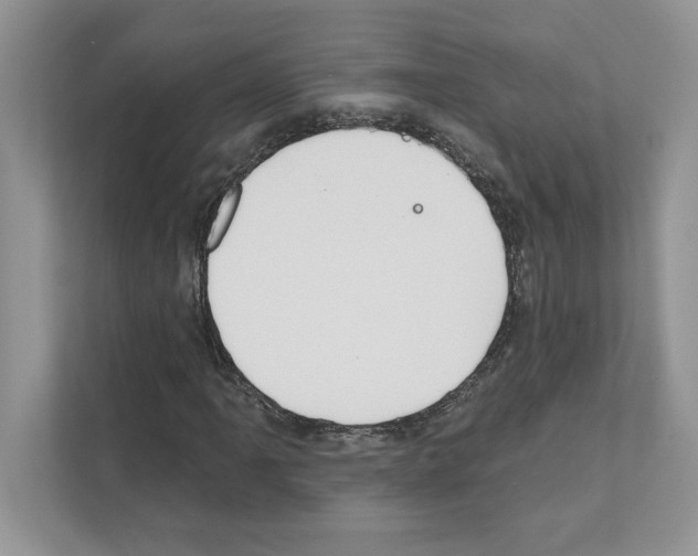 X0000111021061200907310927