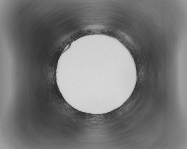 X0000111021062200907310927