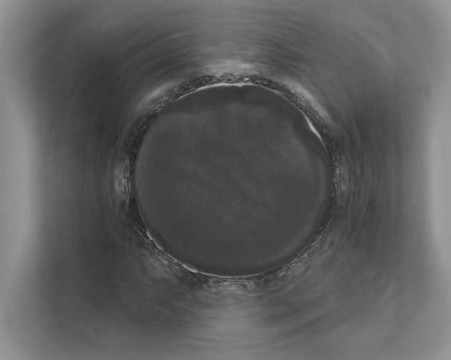X0000111021063200907310927