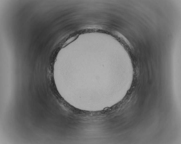 X0000111021064200907310927