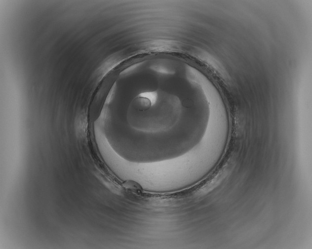 X0000111021065200907310927