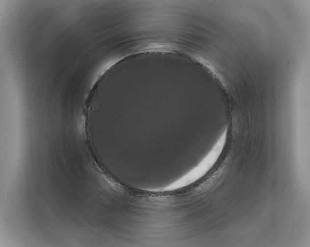 X0000111021066200907310927