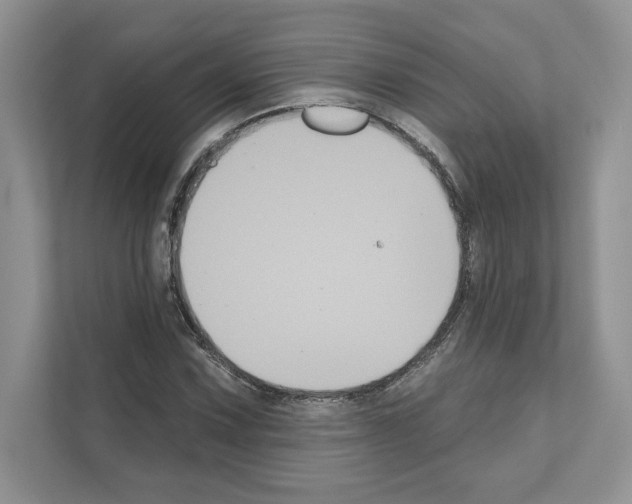 X0000111021067200907310927