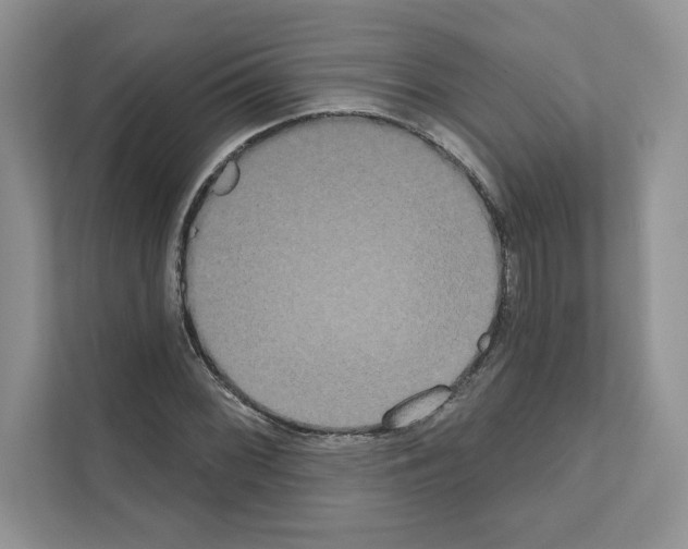 X0000111021068200907310927