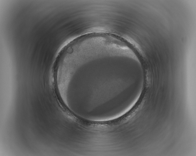 X0000111021070200907310927