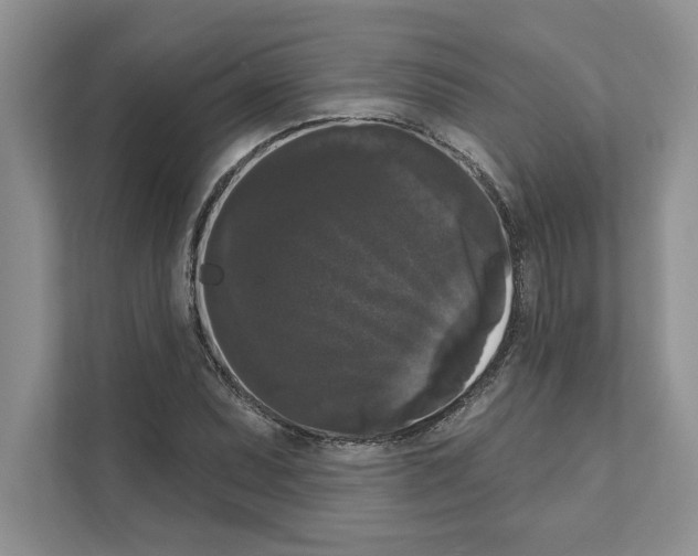 X0000111021071200907310927