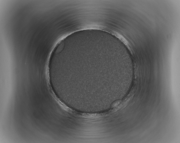 X0000111021072200907310927