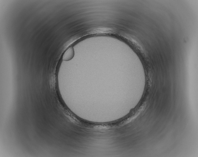 X0000111021073200907310927