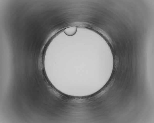 X0000111021075200907310927