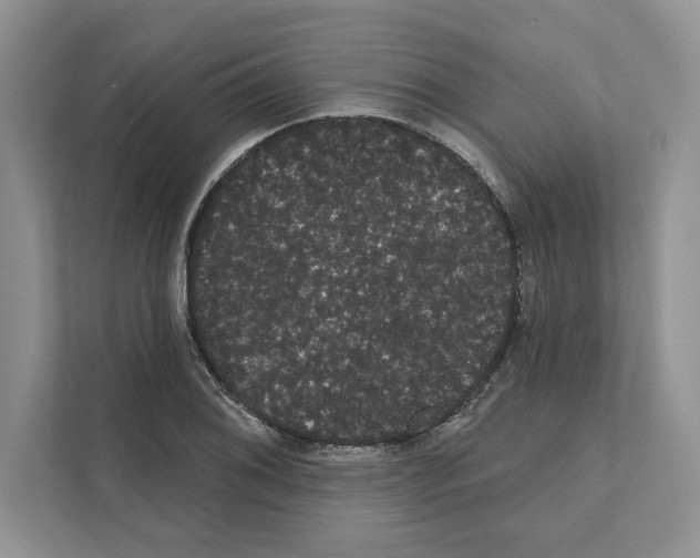 X0000111021076200907310927