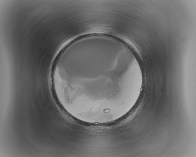 X0000111021077200907310927