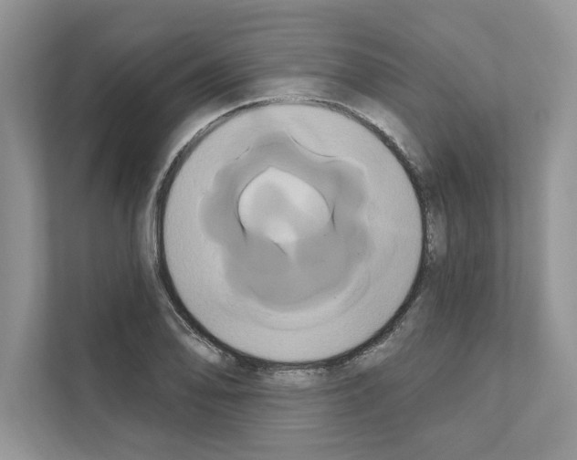X0000111021078200907310927