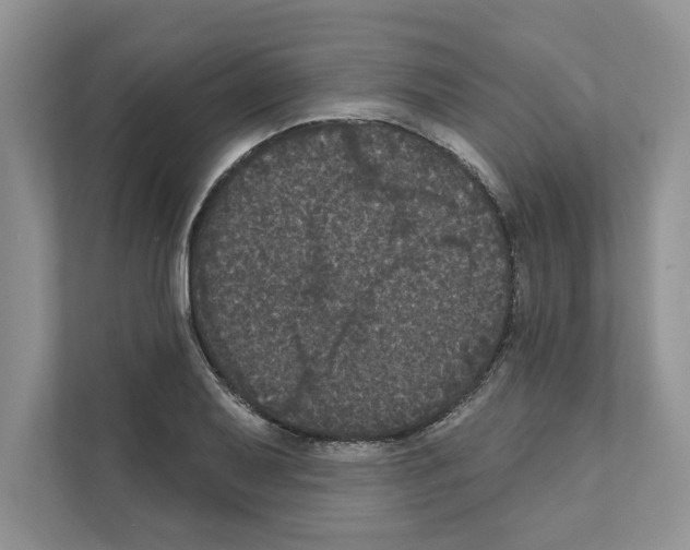 X0000111021079200907310927