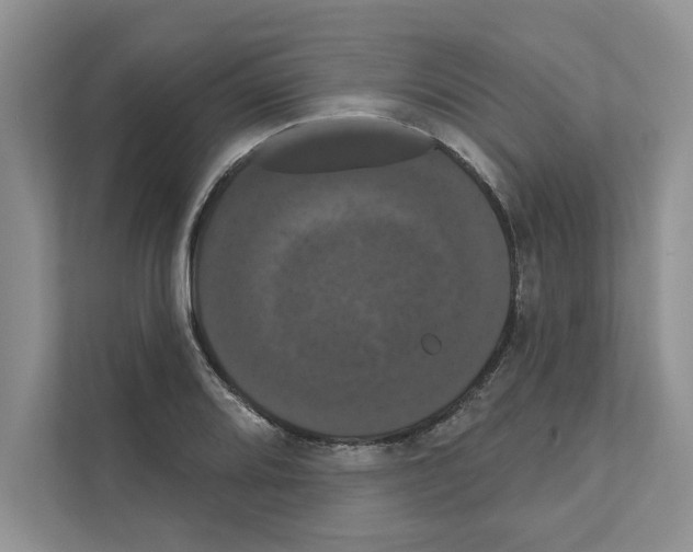 X0000111021080200907310927