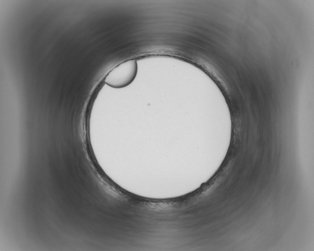 X0000111021082200907310927